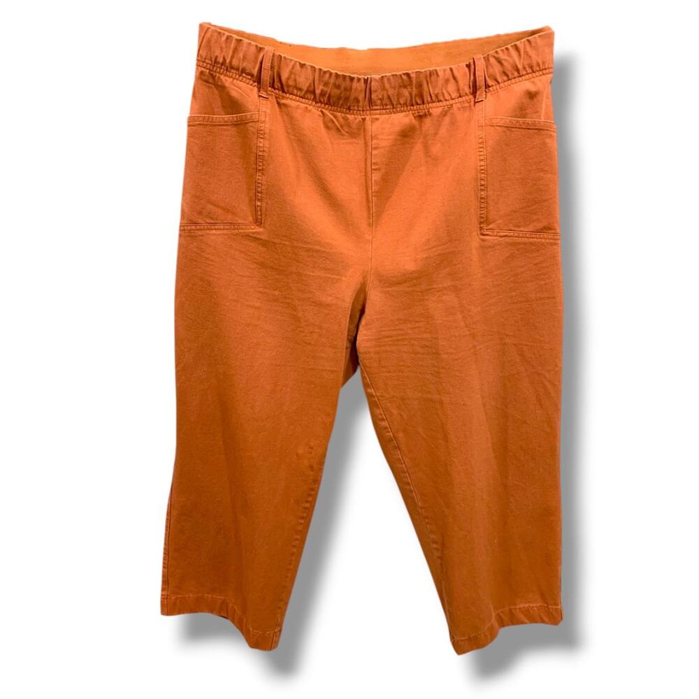 2XP Any Body Petite Womens Plus Size Rust Orange Pull On Pants Pockets Crop